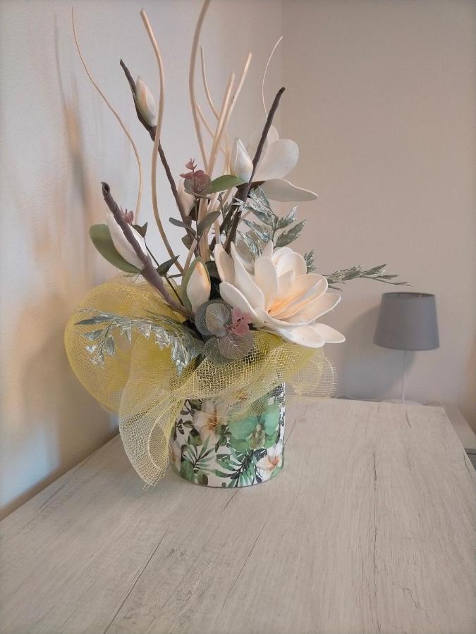 Uliveto TermeCasa Moki公寓 外观 照片